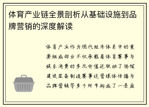 体育产业链全景剖析从基础设施到品牌营销的深度解读