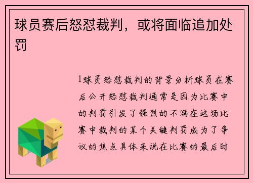 球员赛后怒怼裁判，或将面临追加处罚
