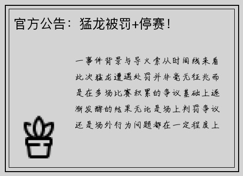 官方公告：猛龙被罚+停赛！